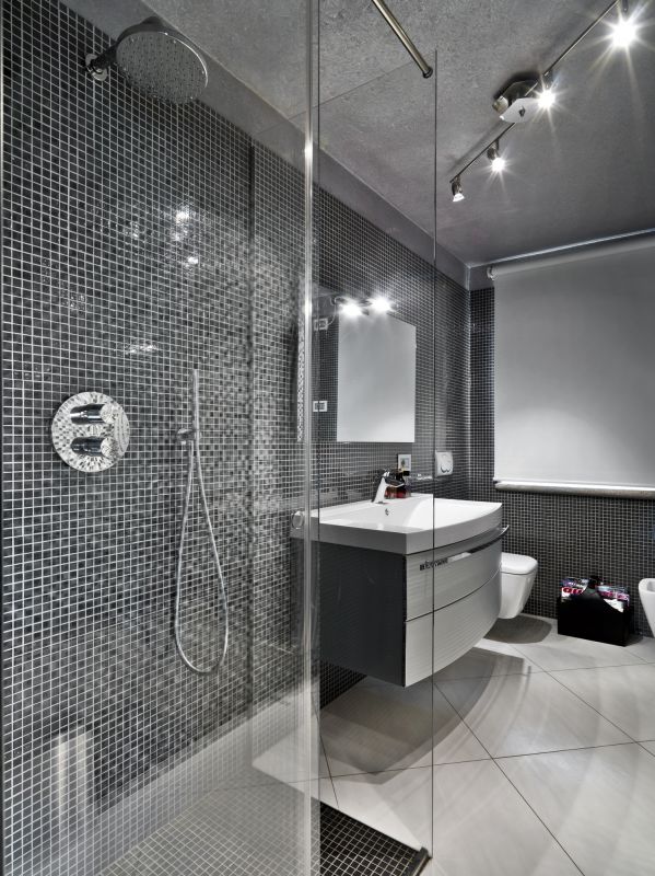 Contemporary Bathroom Showers